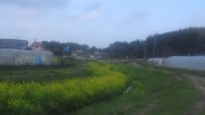 160319_1457