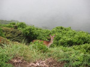 IMG_1207
